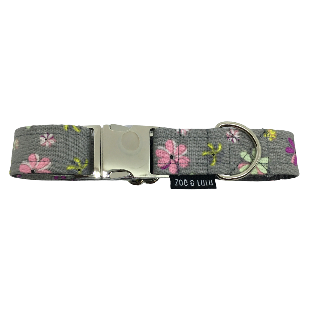 Collier pour chien - Istanbul