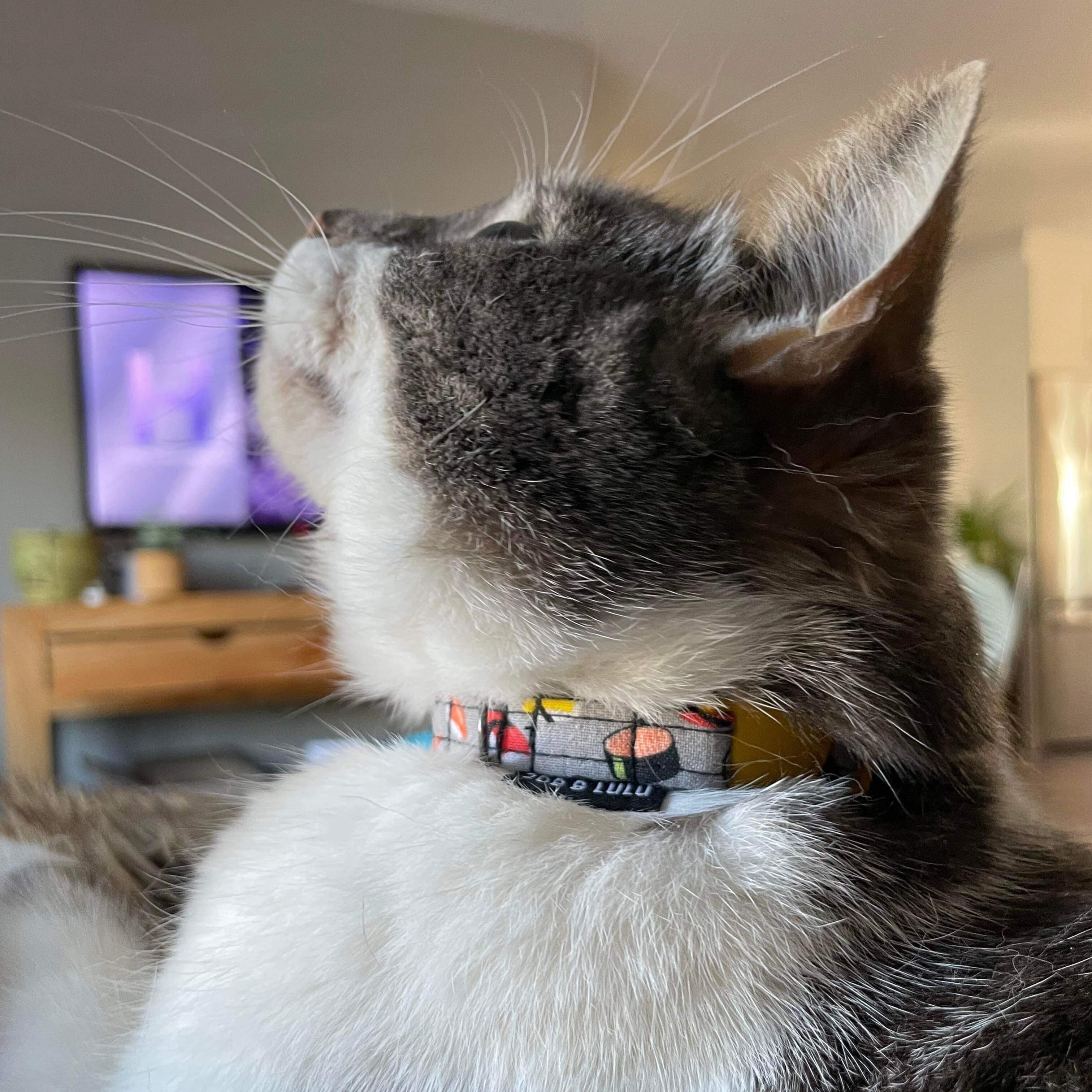 Collier pour chat - Sushi