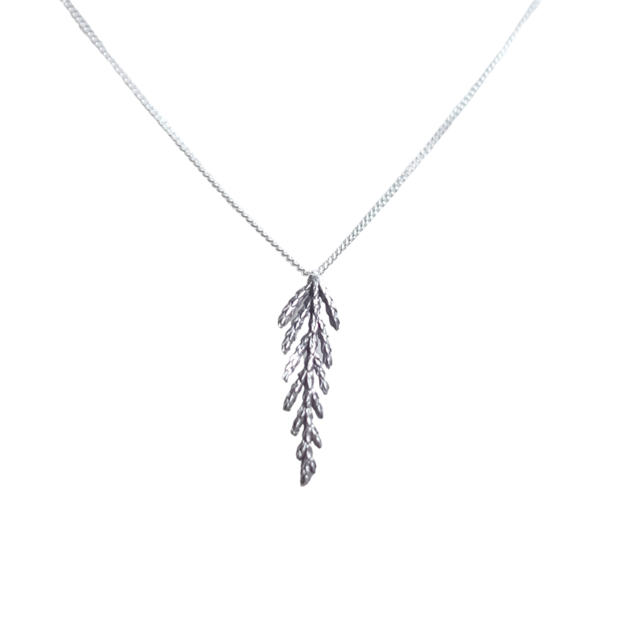 Collier branche de cèdre, petit