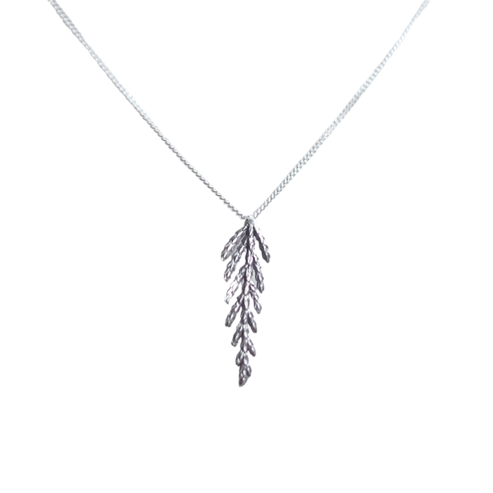 Collier branche de cèdre, petit