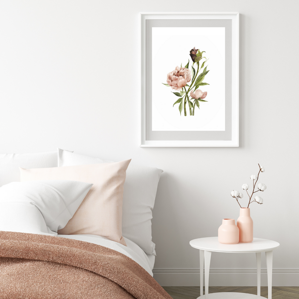 Illustration - Peony