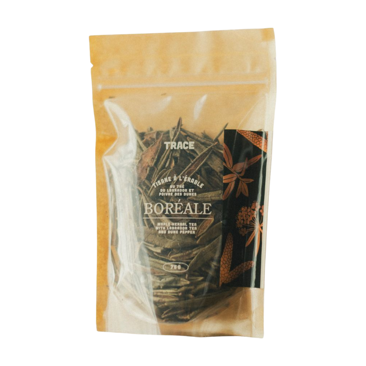 Tisane boréale à l'érable