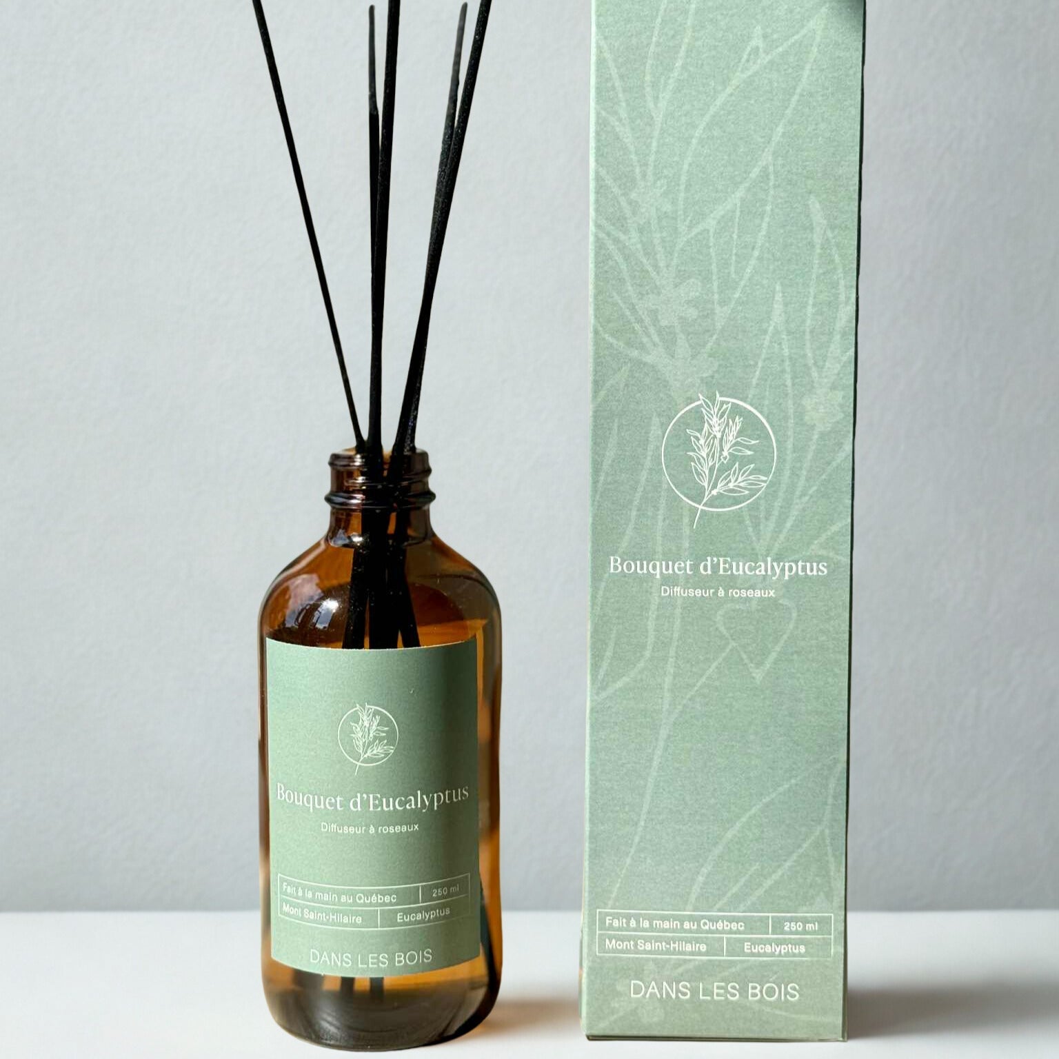 Diffuseur à roseaux - Bouquet d'Eucalyptus