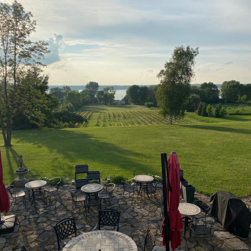 Visite et dégustation pour 2 personnes - Domaine du clos de l'Isle