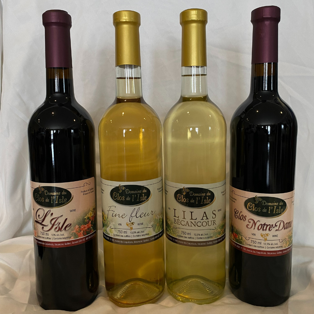 Visite et dégustation pour 2 personnes - Domaine du clos de l'Isle