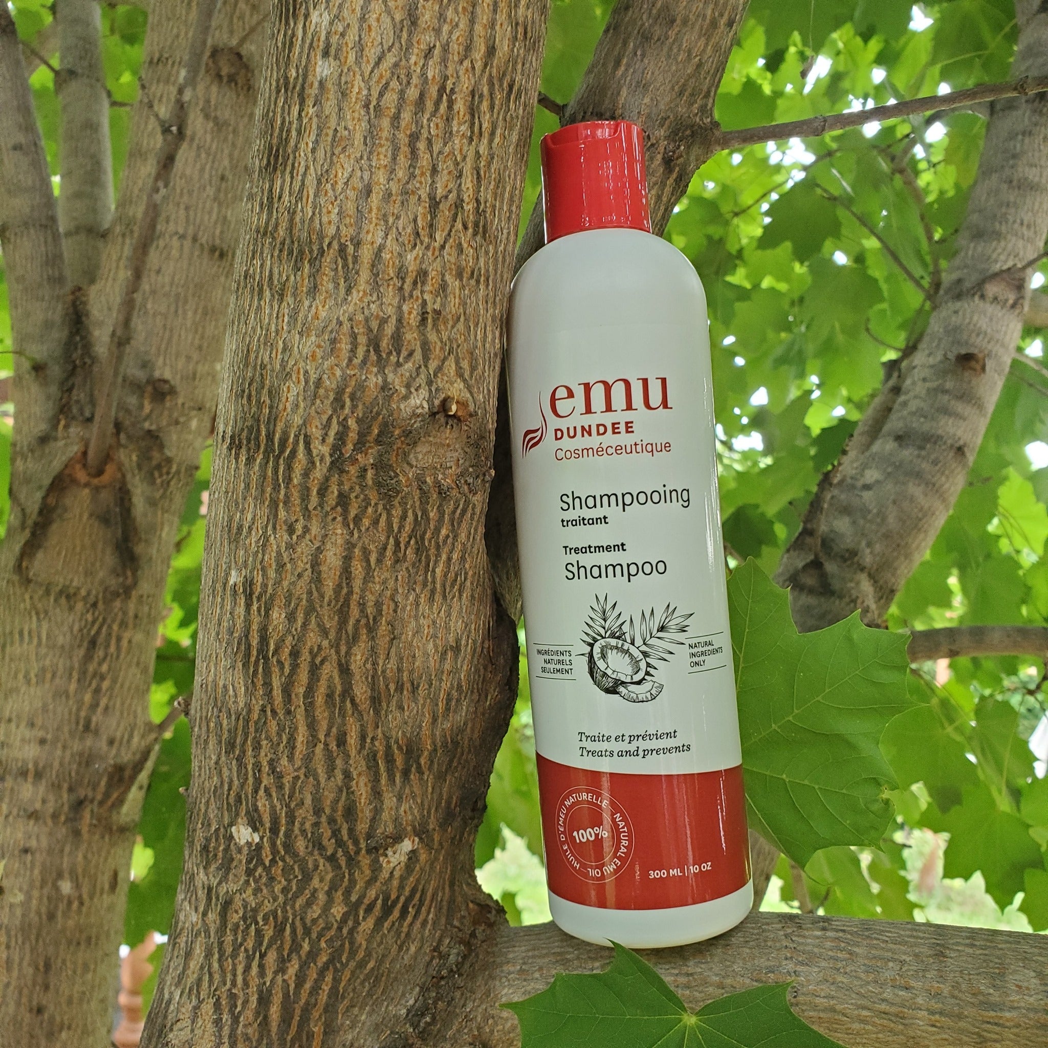 Shampoing traitant (pellicule et perte de cheveux)