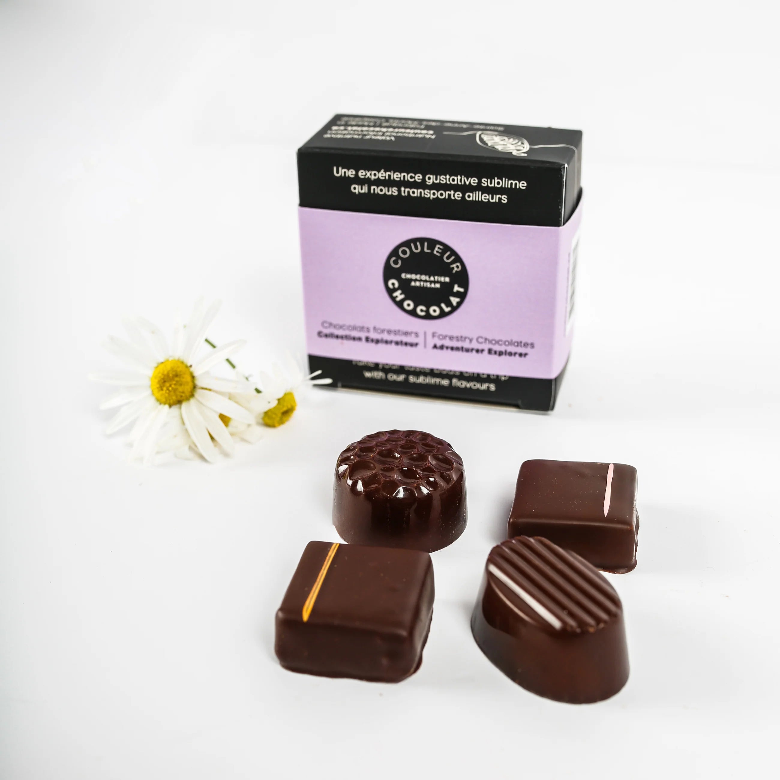 Boîte chocolats forestiers - Explorateur