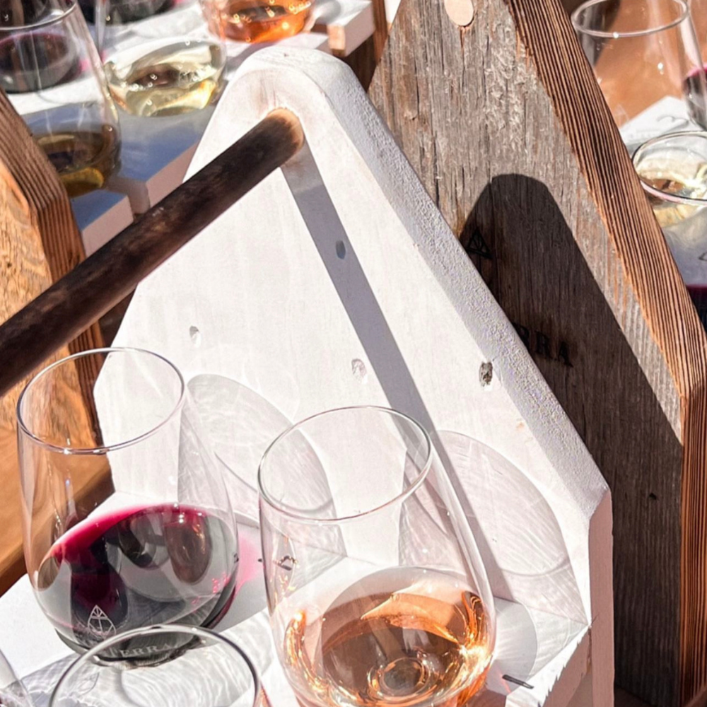 Dégustation de vin et collation formages pour 2 personnes - Domaine Vinéterra