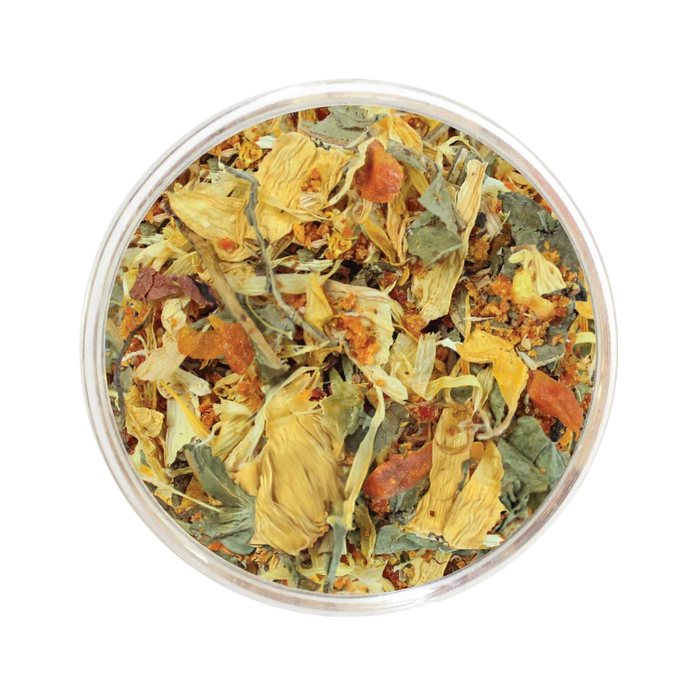 Tisane Tournesol