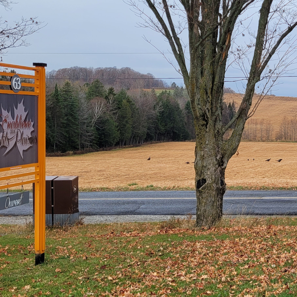 Brunch box and tour for 2 people - Aux Petits Plaisirs