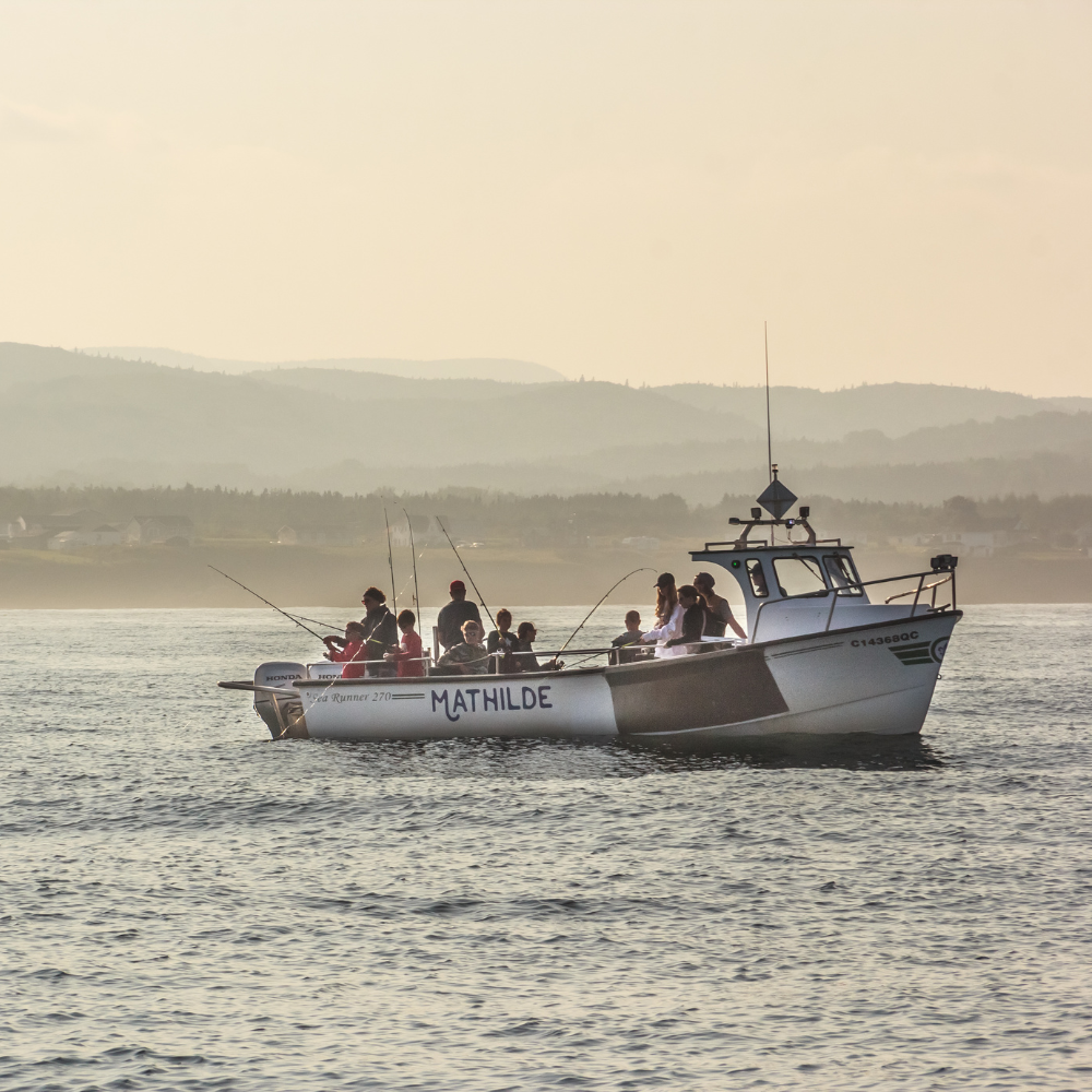 Croisière/Pêche en mer pour 1 personne - Auberge Griffon Aventure