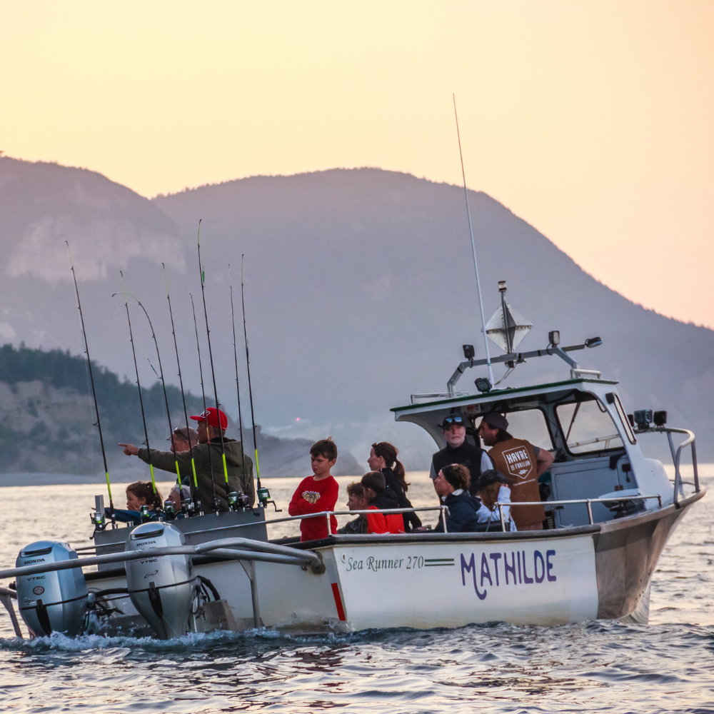 Croisière/Pêche en mer pour 1 personne - Auberge Griffon Aventure