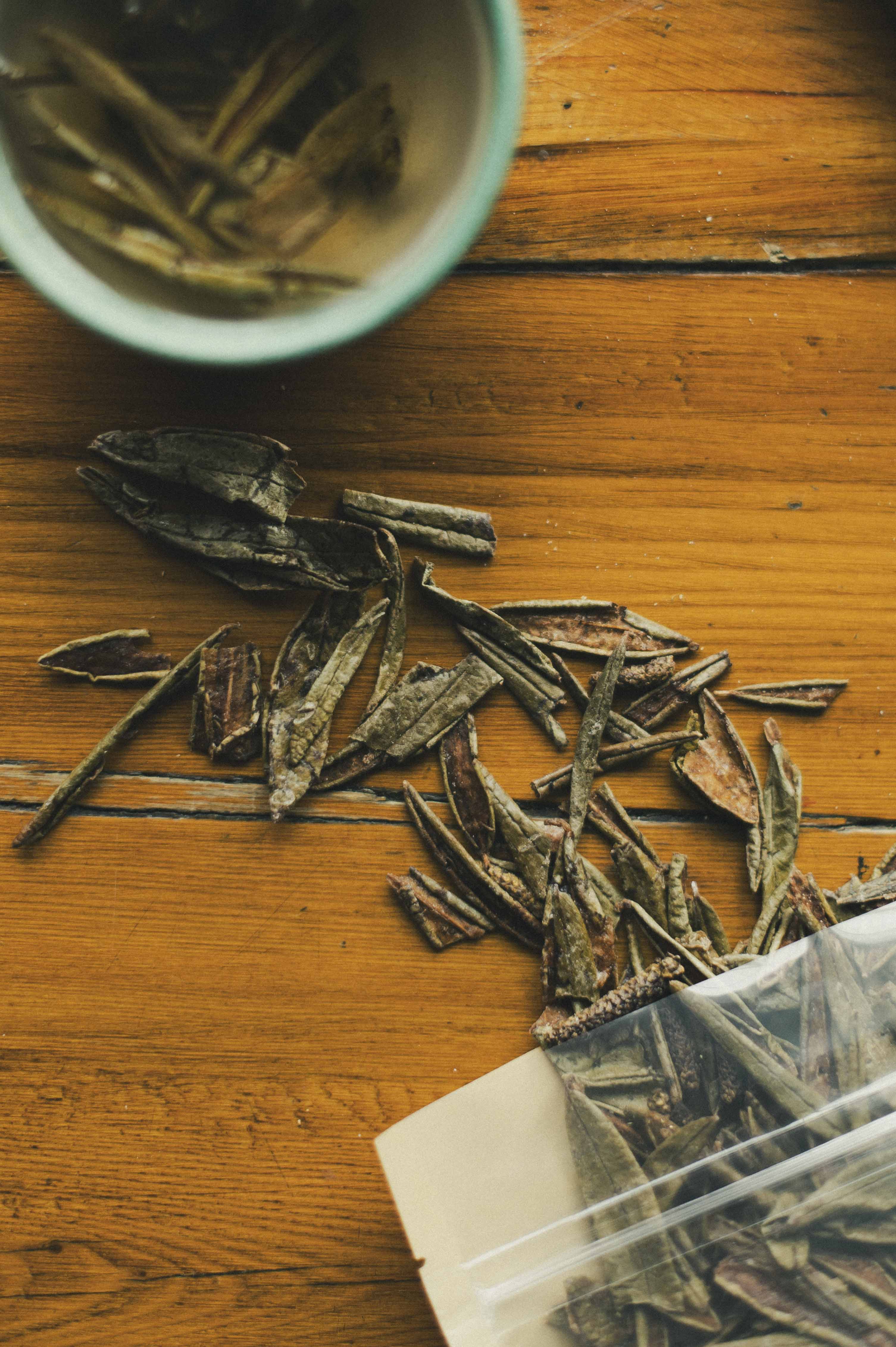 Tisane boréale à l'érable