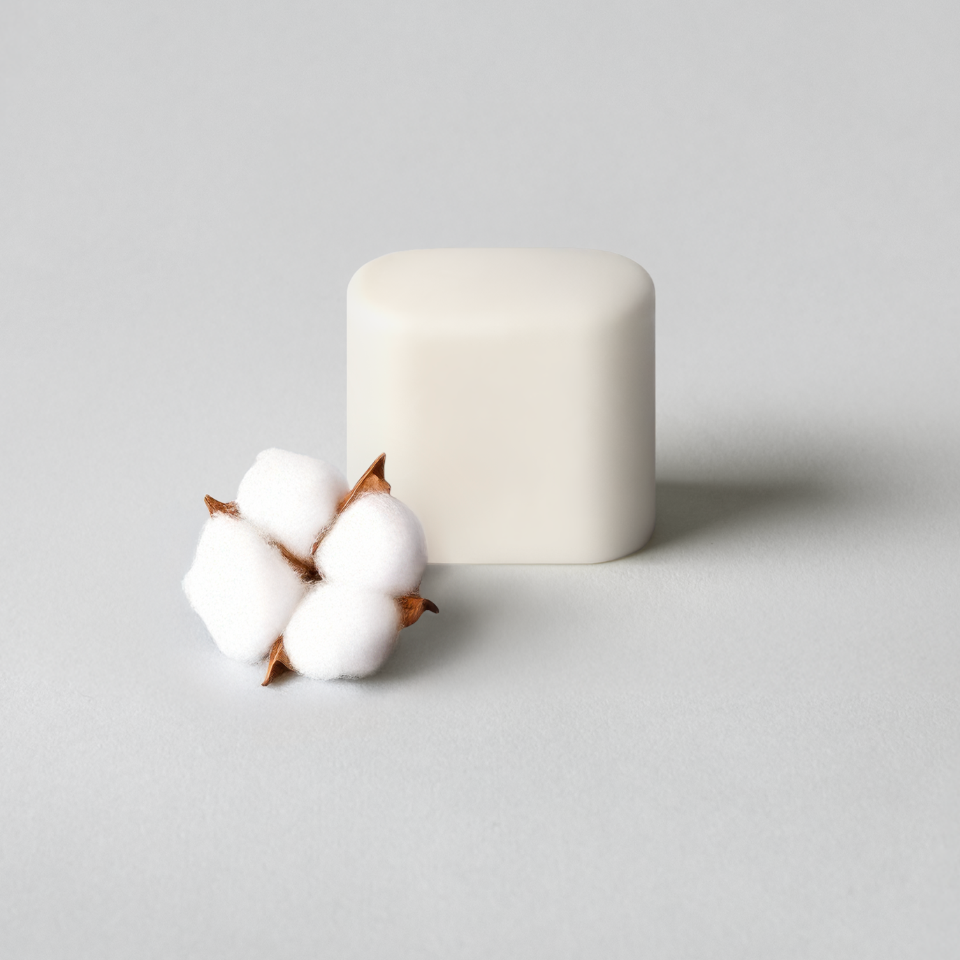 Recharges de déodorant - Inodore - Sans fragrance