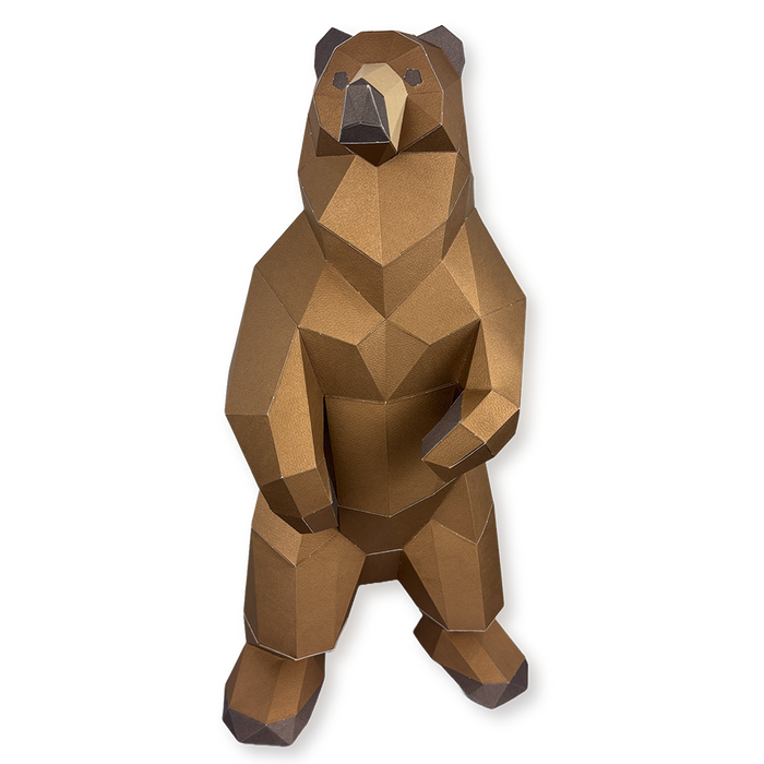 Ours Grizzly