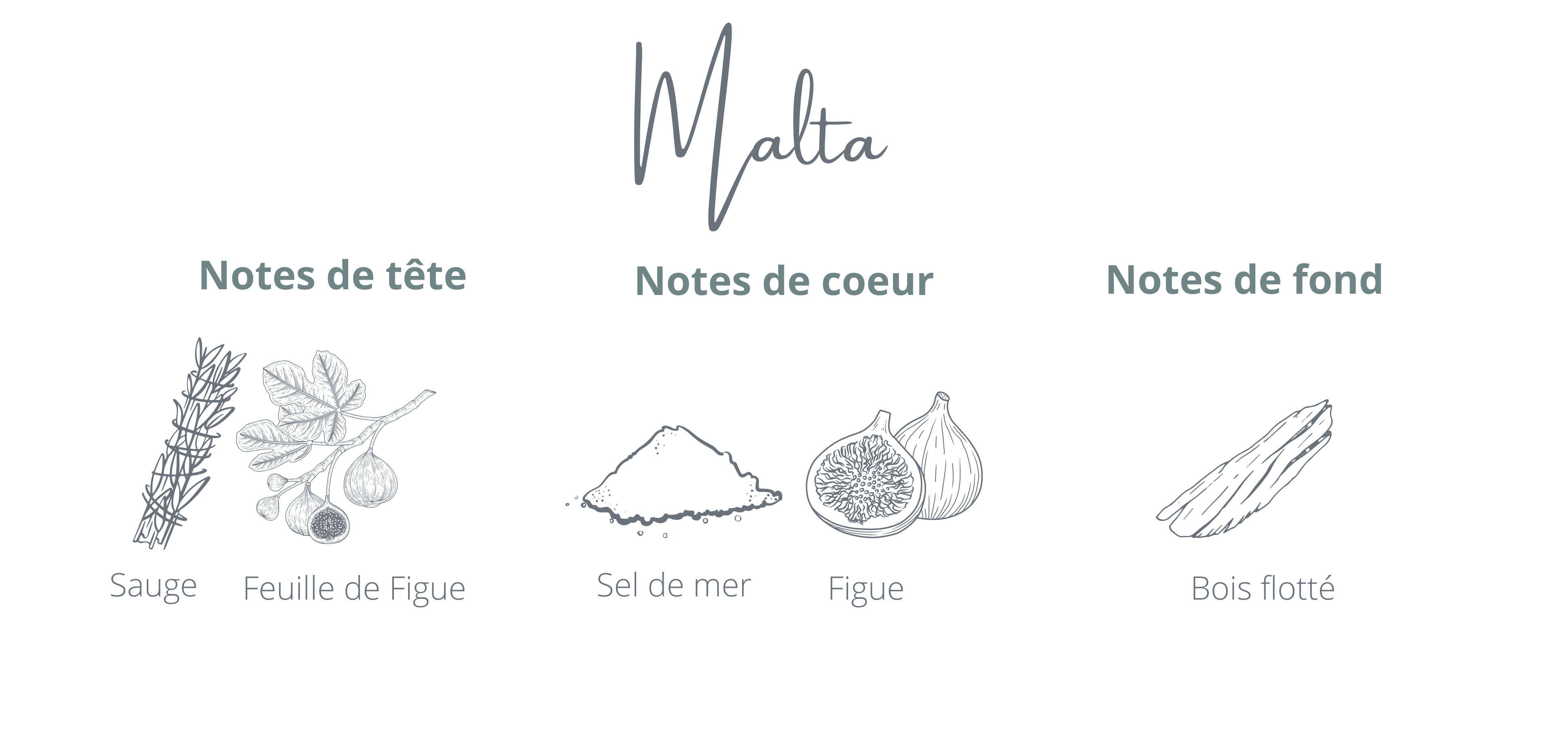 Candle Malta | Fig + Sea Air