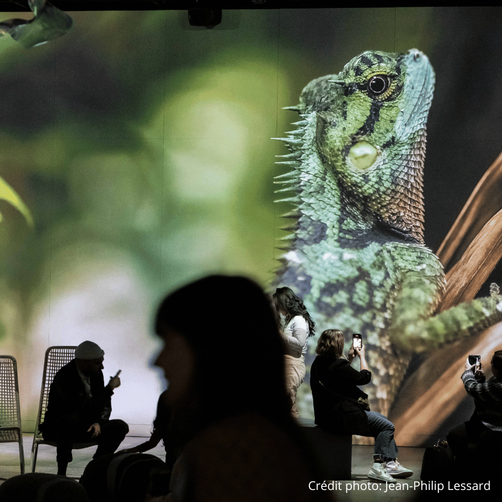 Exposition immersive pour 2 personnes - OASIS Immersion