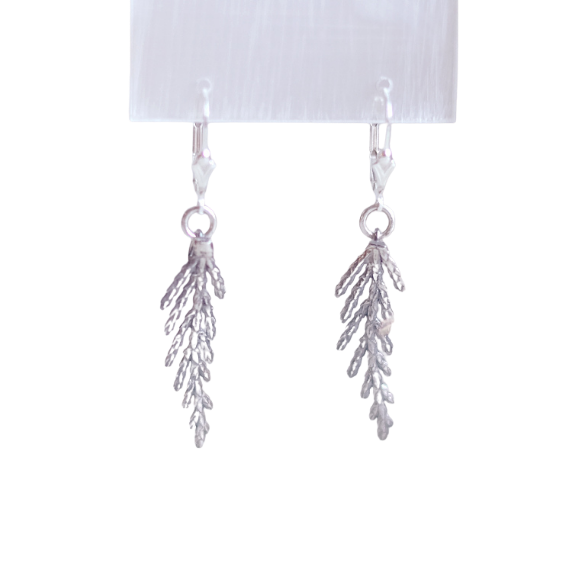 Petites Branches de Cèdre - Boucles d'oreilles en argent sterling