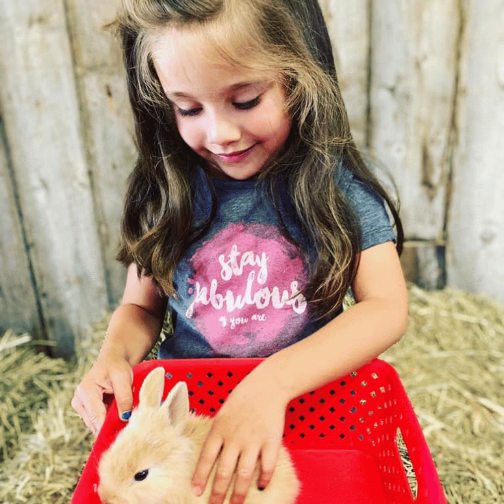Journée familiale avec les animaux pour 4 personnes - Ranch Dupont