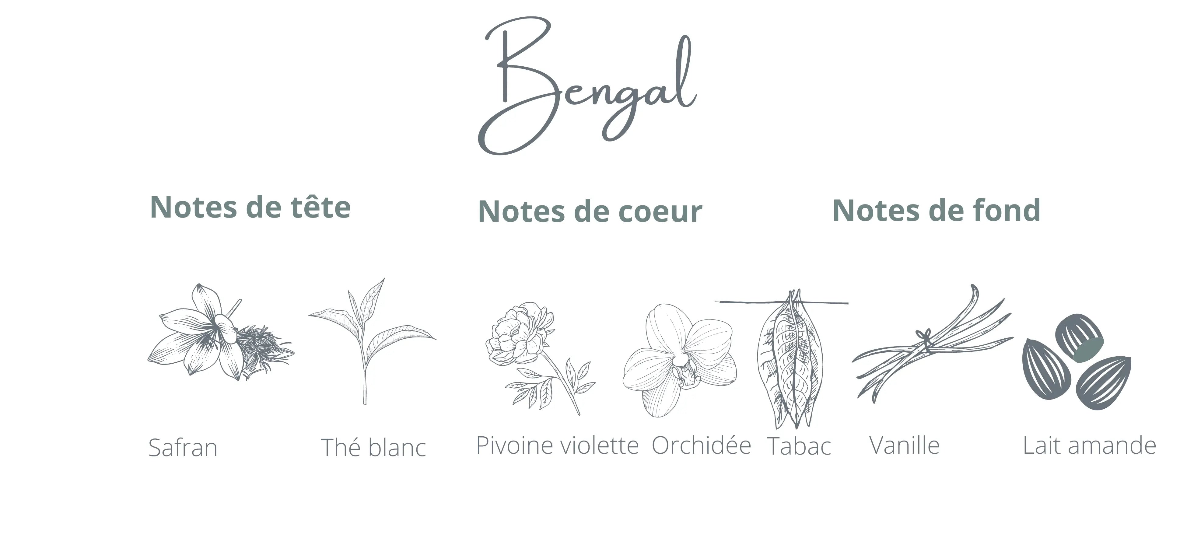 Candle Bengal | Saffron + White Tea