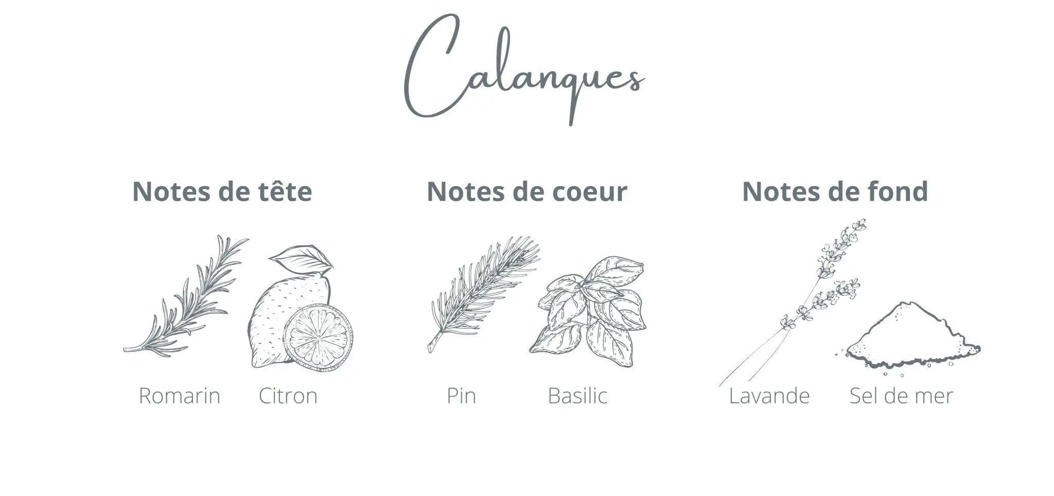 Calanques Refill | Rosemary + Sea Salt
