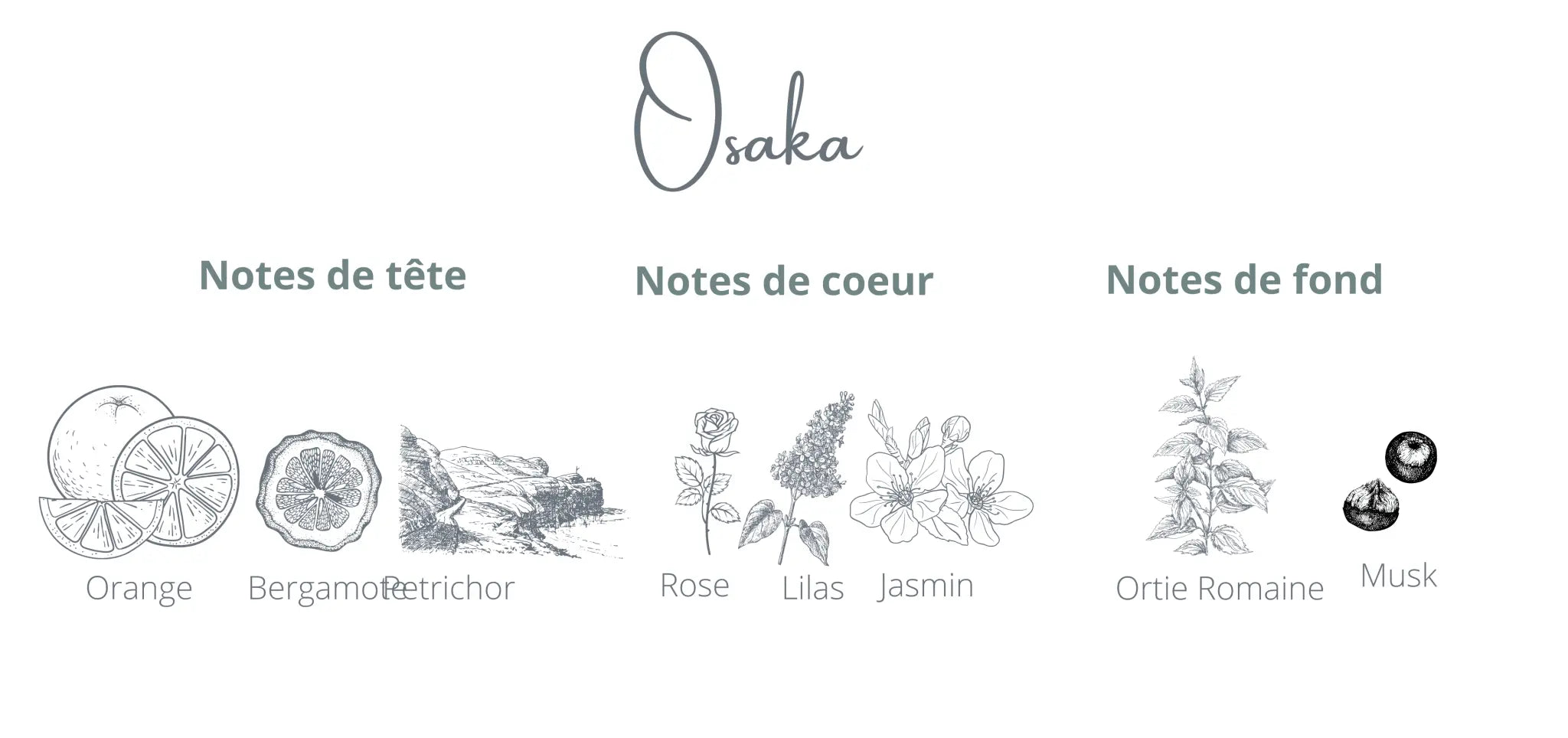Osaka Refill | Lilac + Jasmine