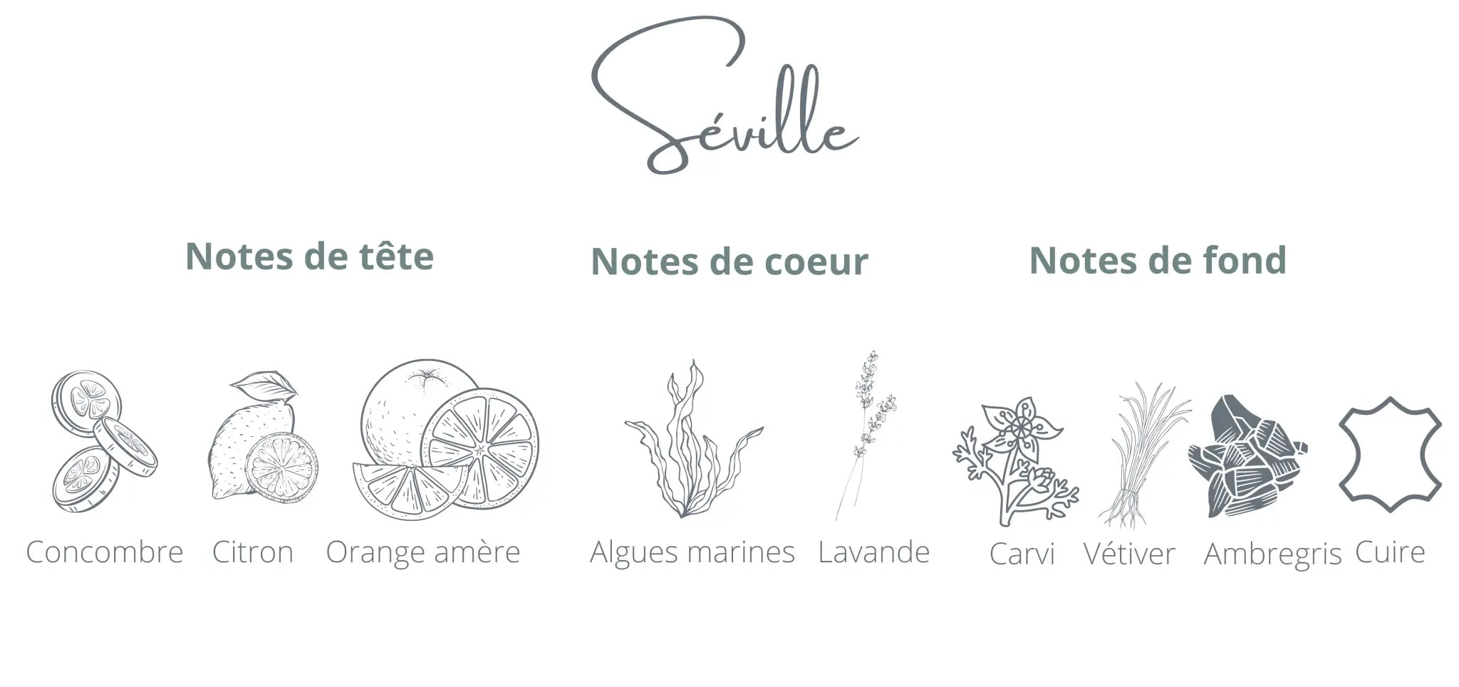 Séville Refill | Spanish Orange + Cucumber