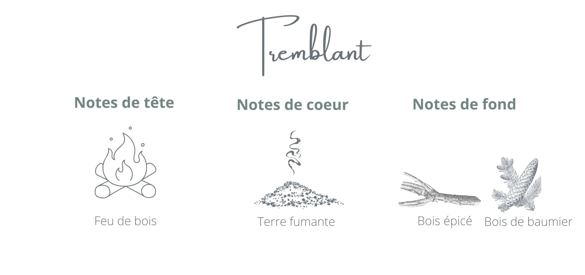 Refill - Tremblant | Wood Fire + Amber