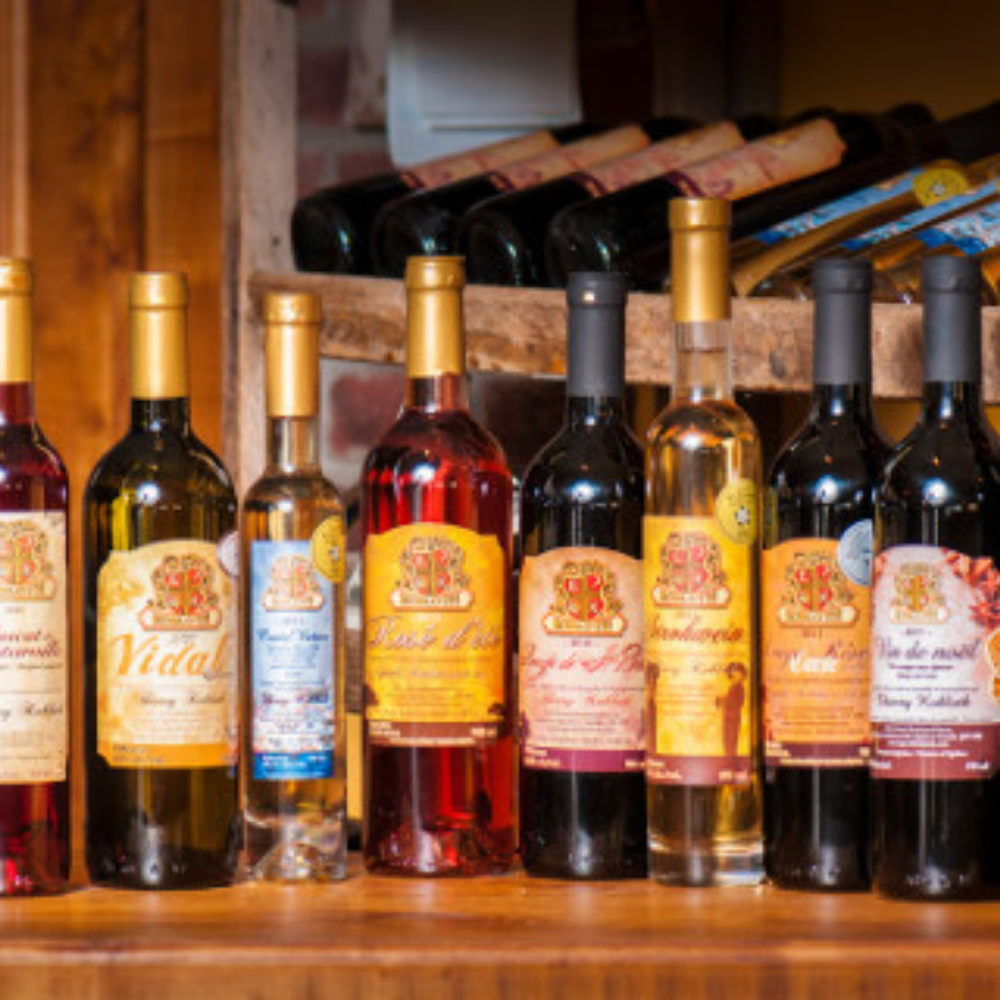 Dégustation de vin et fromages pour 2 personnes - Vignoble Kobloth