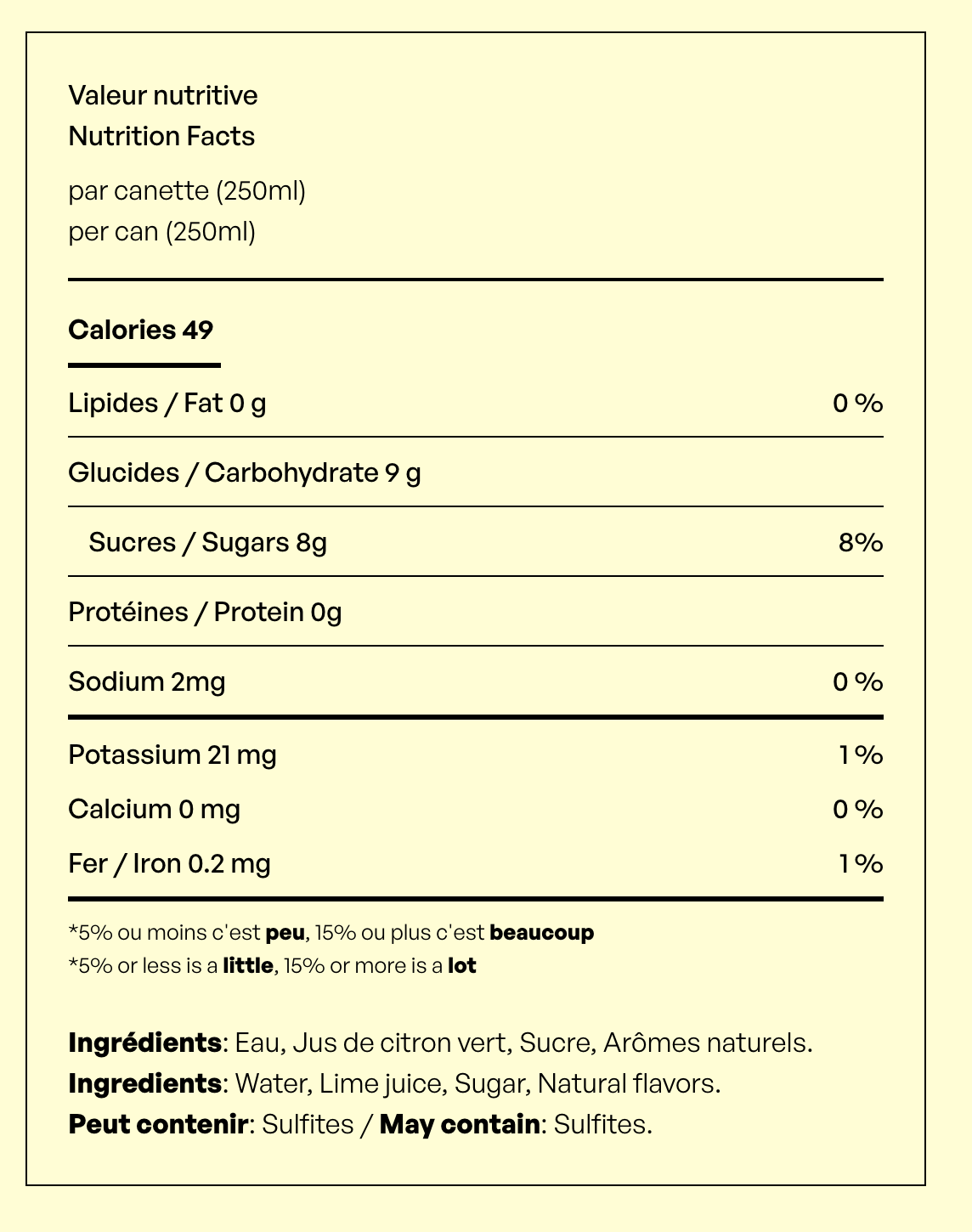 Mocktail - Margarita Salsa