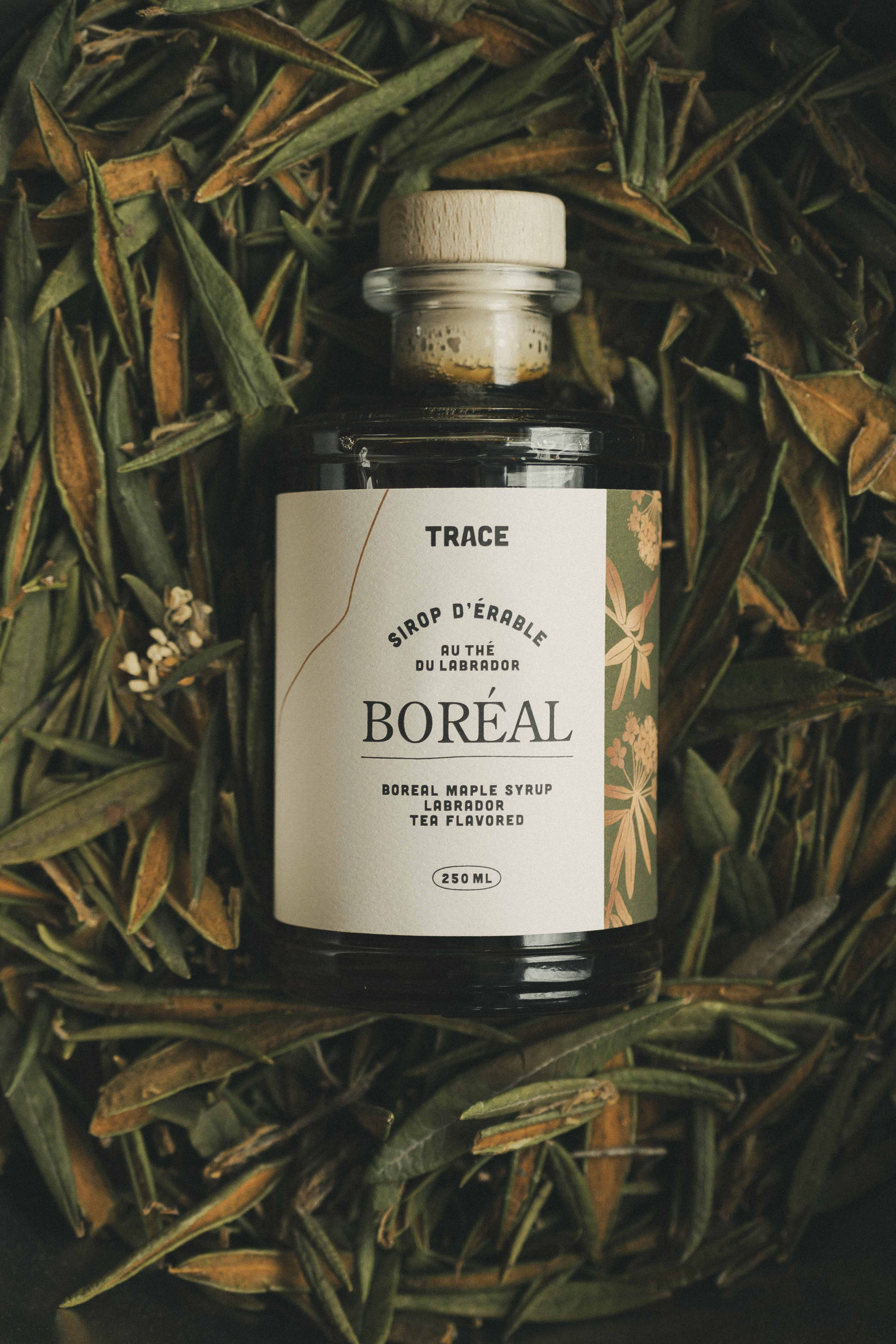 Boreal maple syrup - Labrador tea