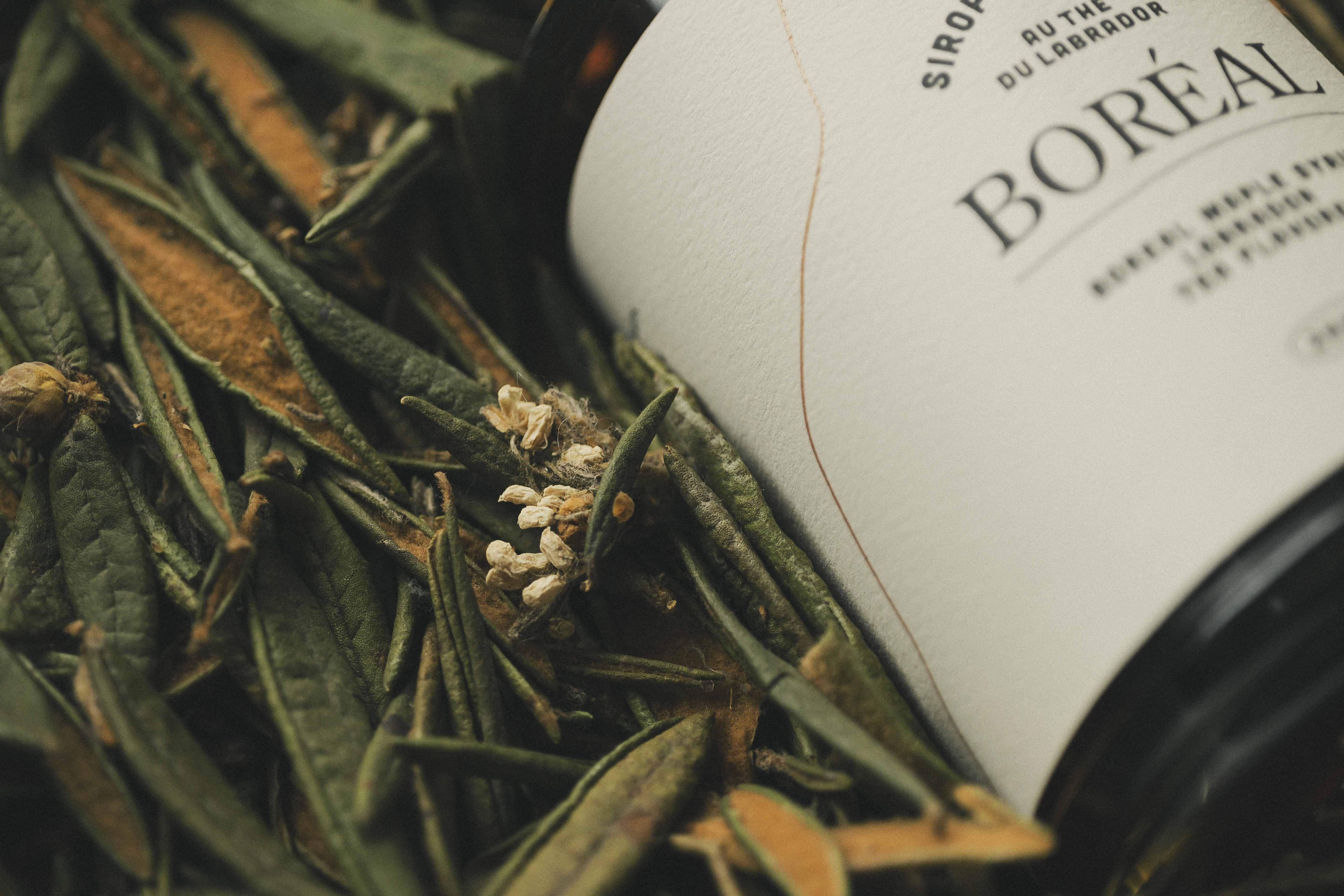 Boreal maple syrup - Labrador tea