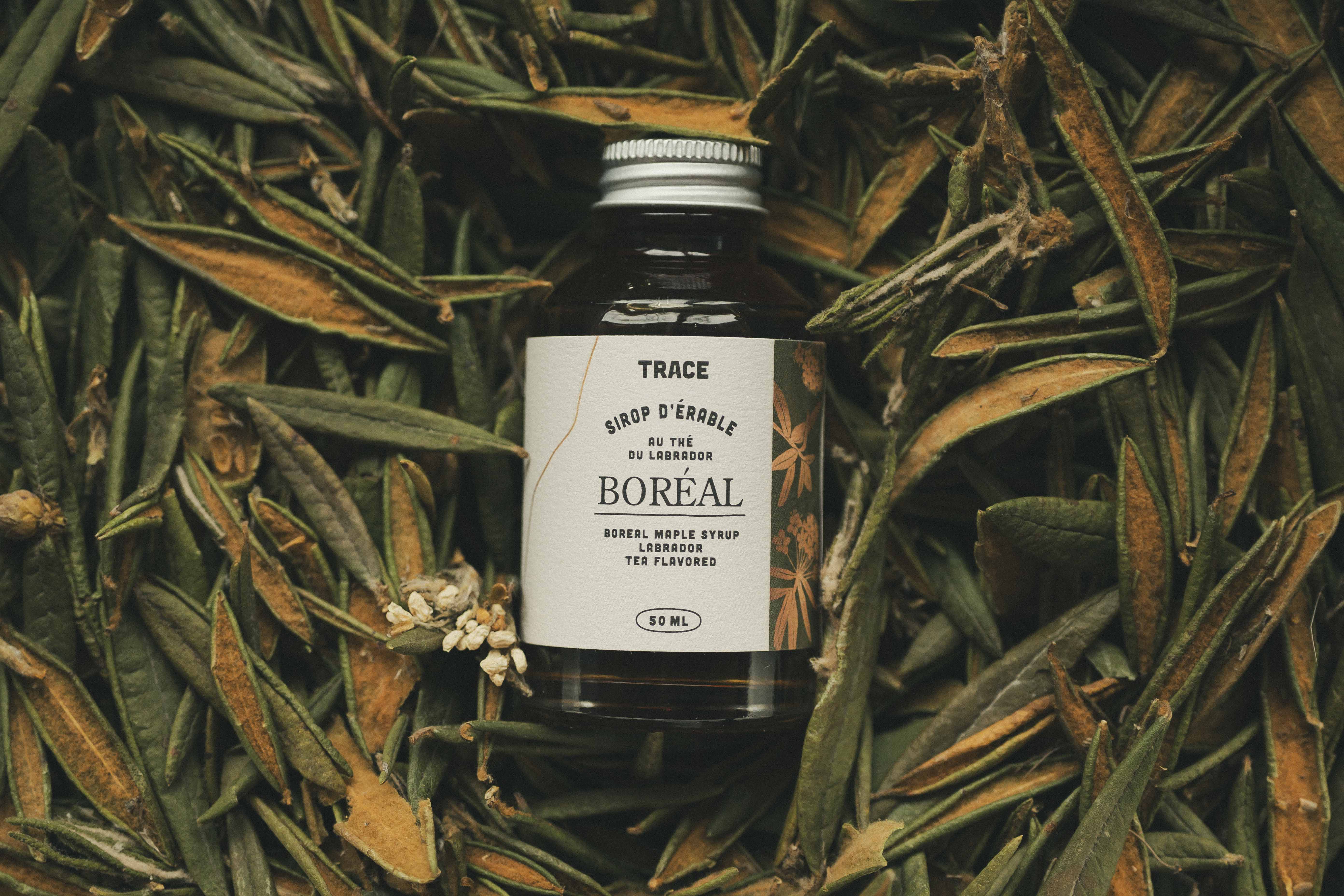 Boreal maple syrup - Labrador tea