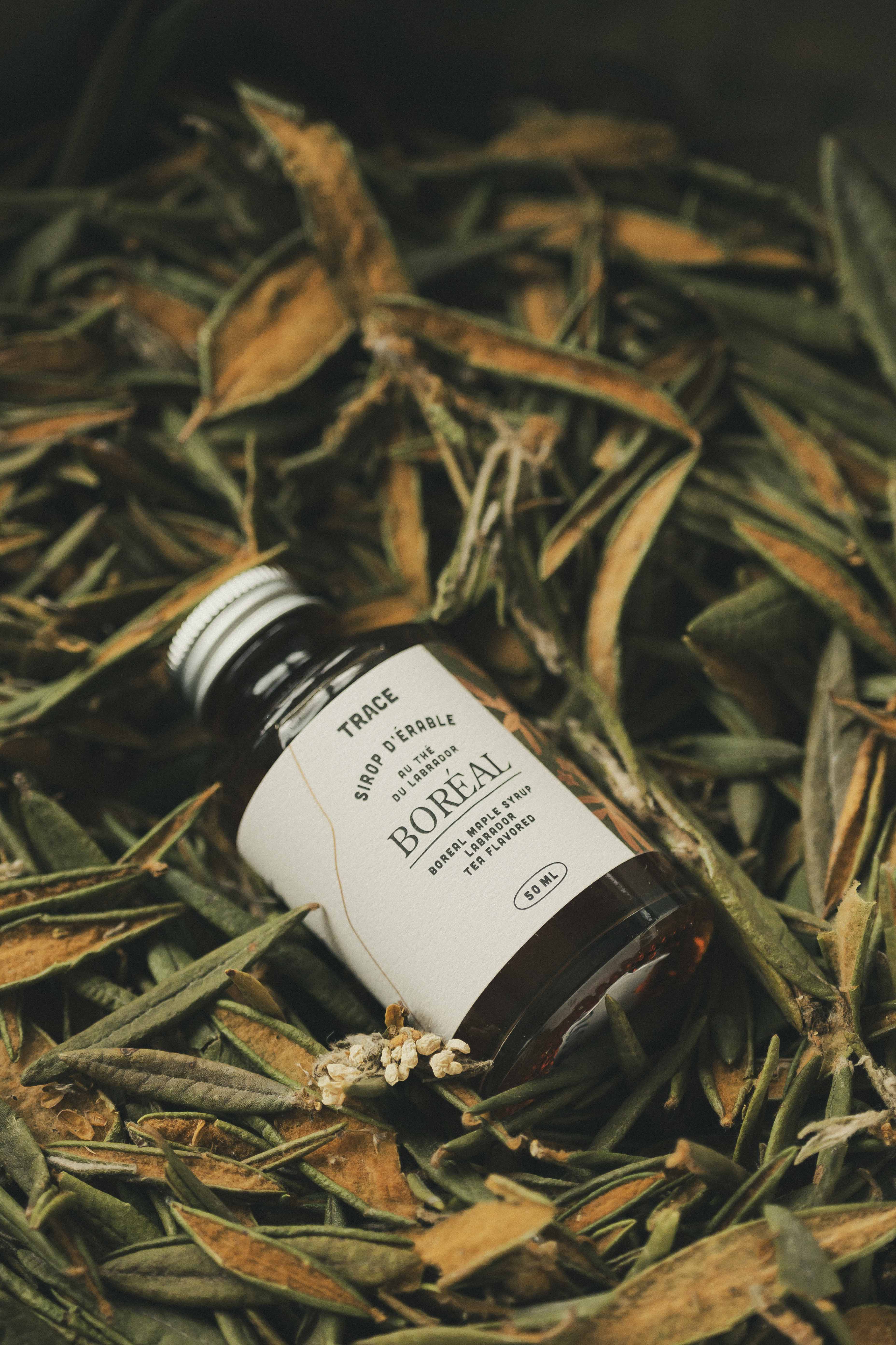 Boreal maple syrup - Labrador tea