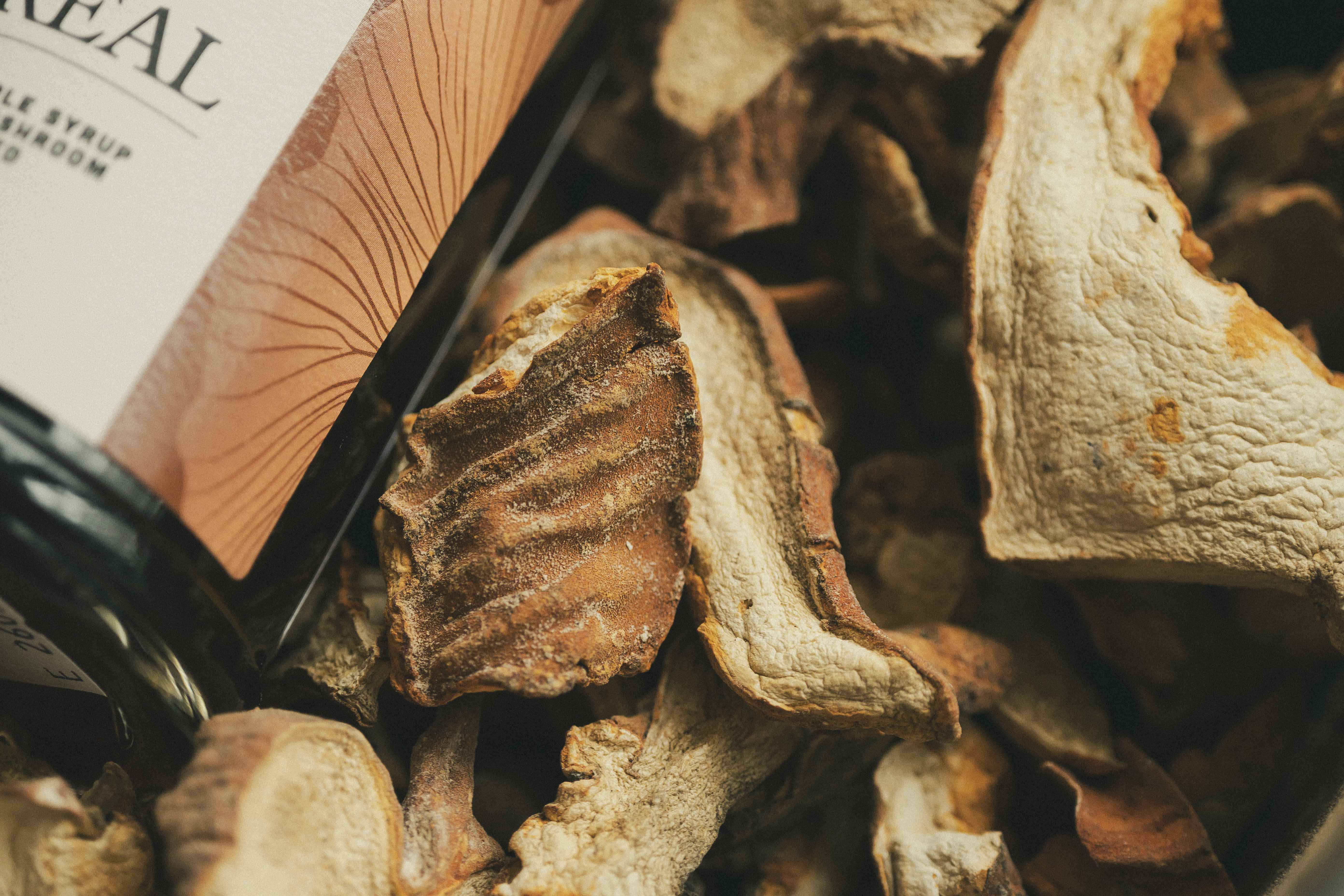Boreal Maple Syrup - Crab Mushroom