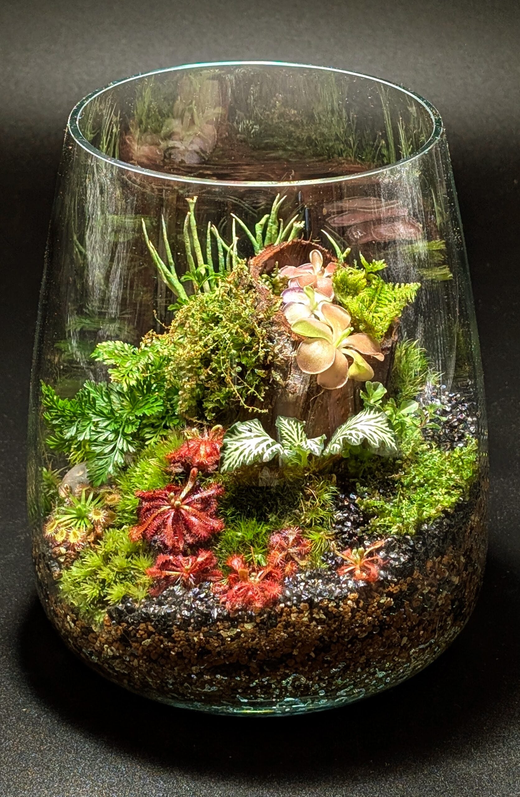Vases vivants