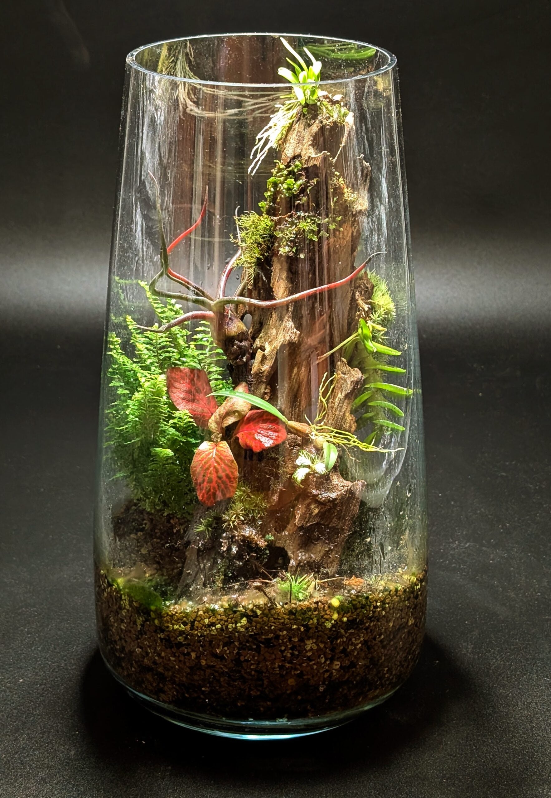 Vases vivants