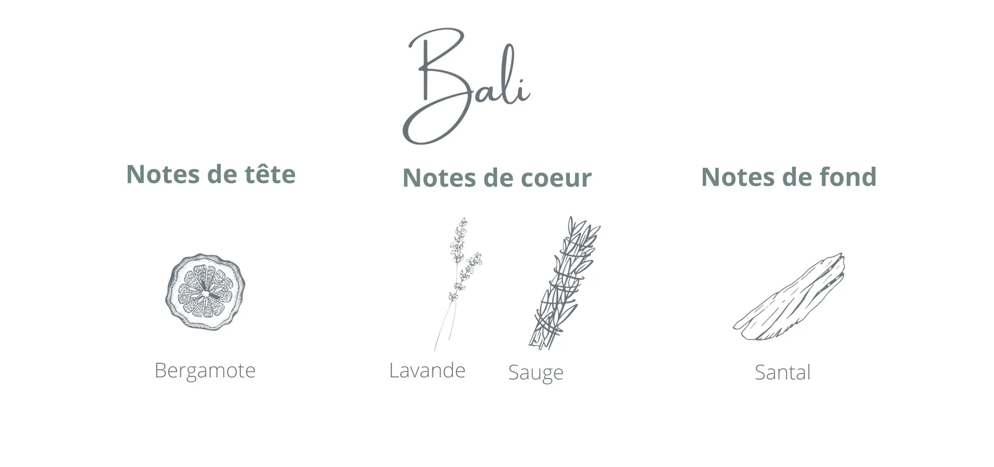 Candle Bali | Sandalwood + Sage
