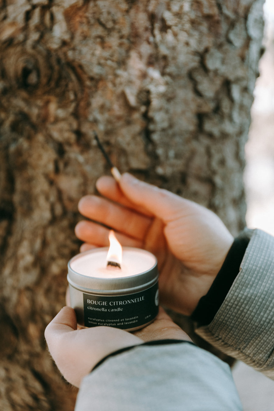 Bougie à la citronnelle