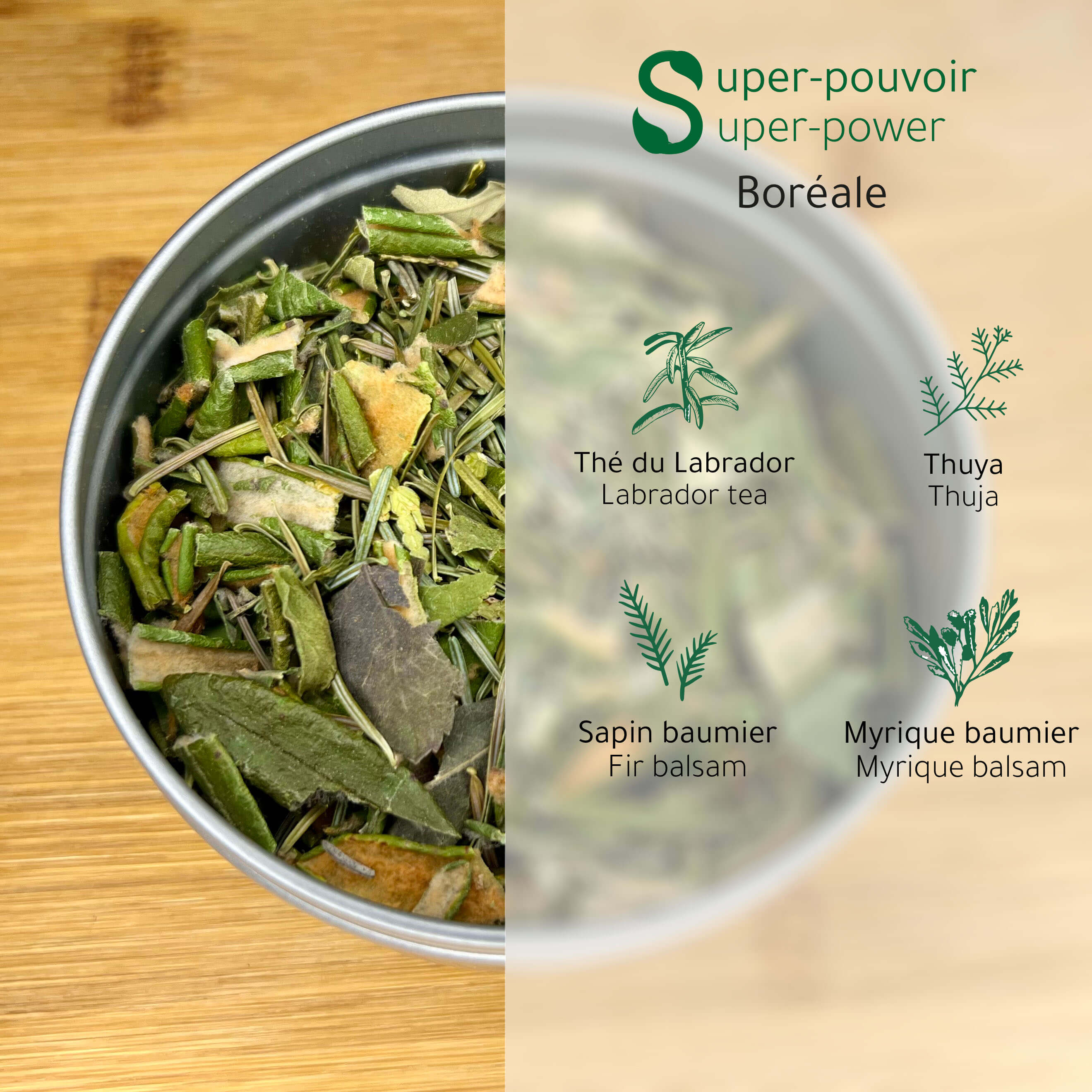 Dans l'bois - Tisane des forêts boréales