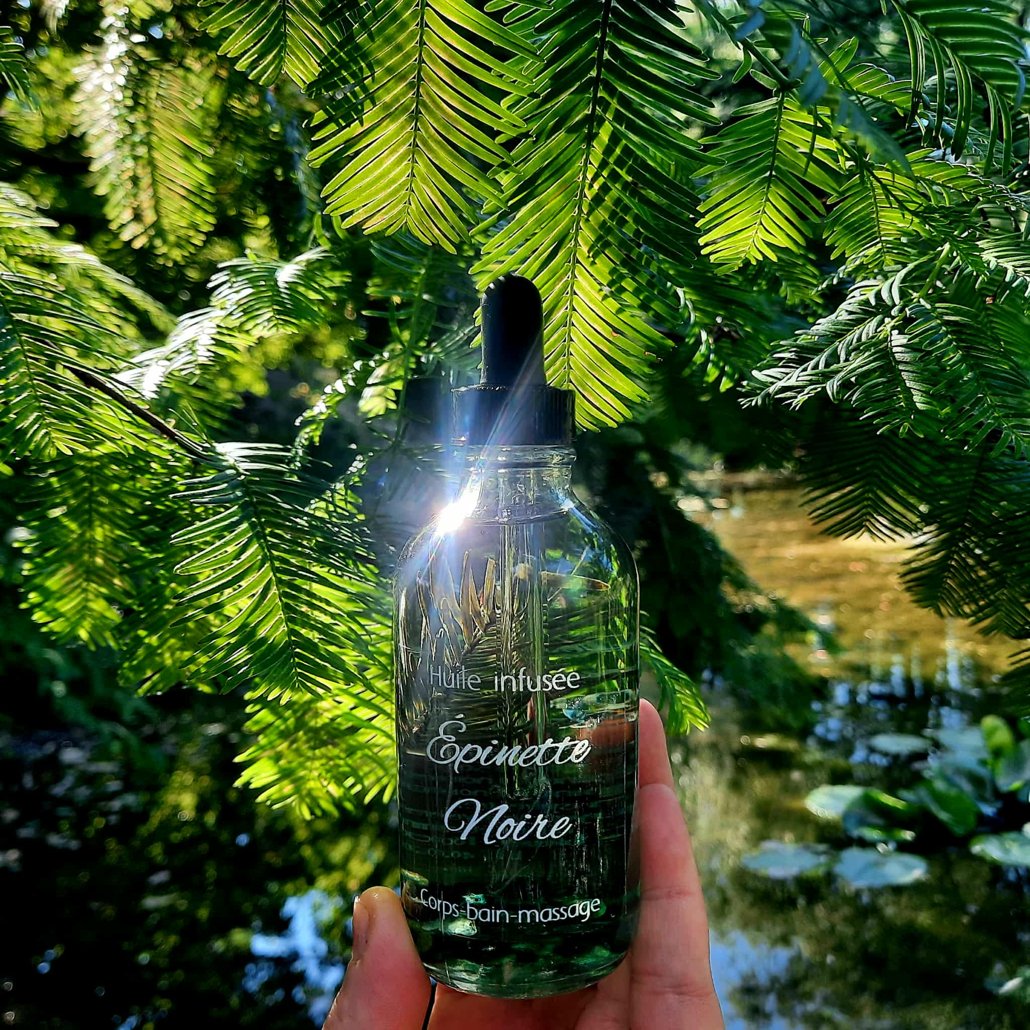 Huile infusée à l’épinette noire – Massage · Corps · Bain