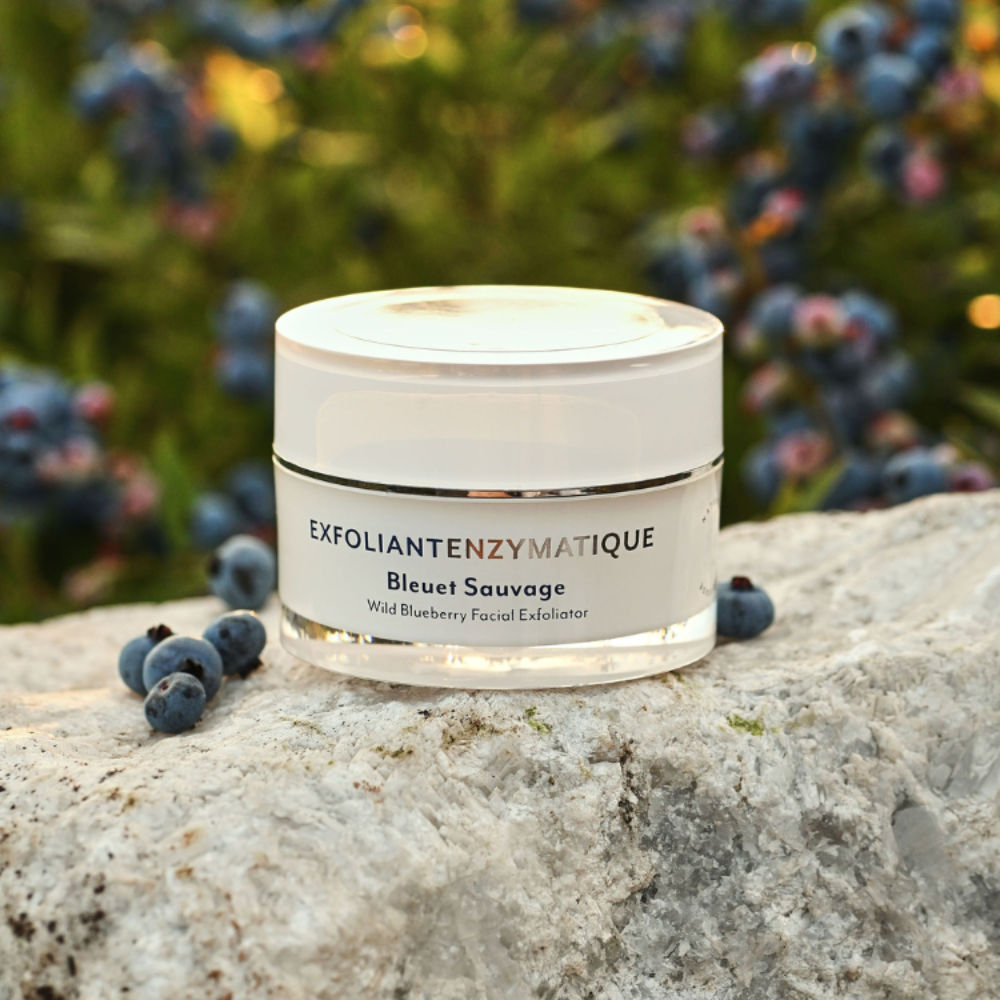 Exfoliant enzymatique pour le visage aux bleuets sauvages