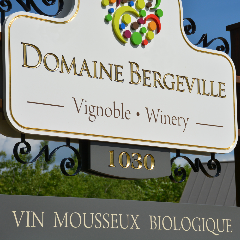 Expérience Viticulture pour 2 personnes - Domaine Bergeville