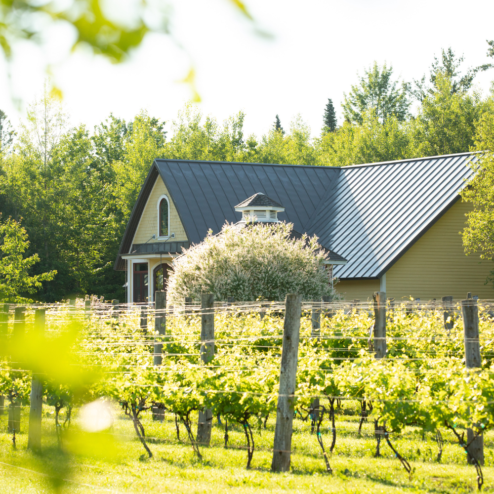 Expérience Viticulture pour 2 personnes - Domaine Bergeville