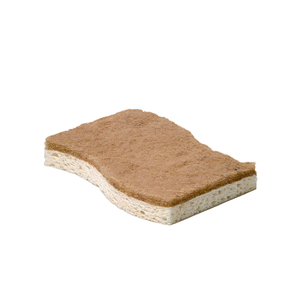 Éponge biodégradable