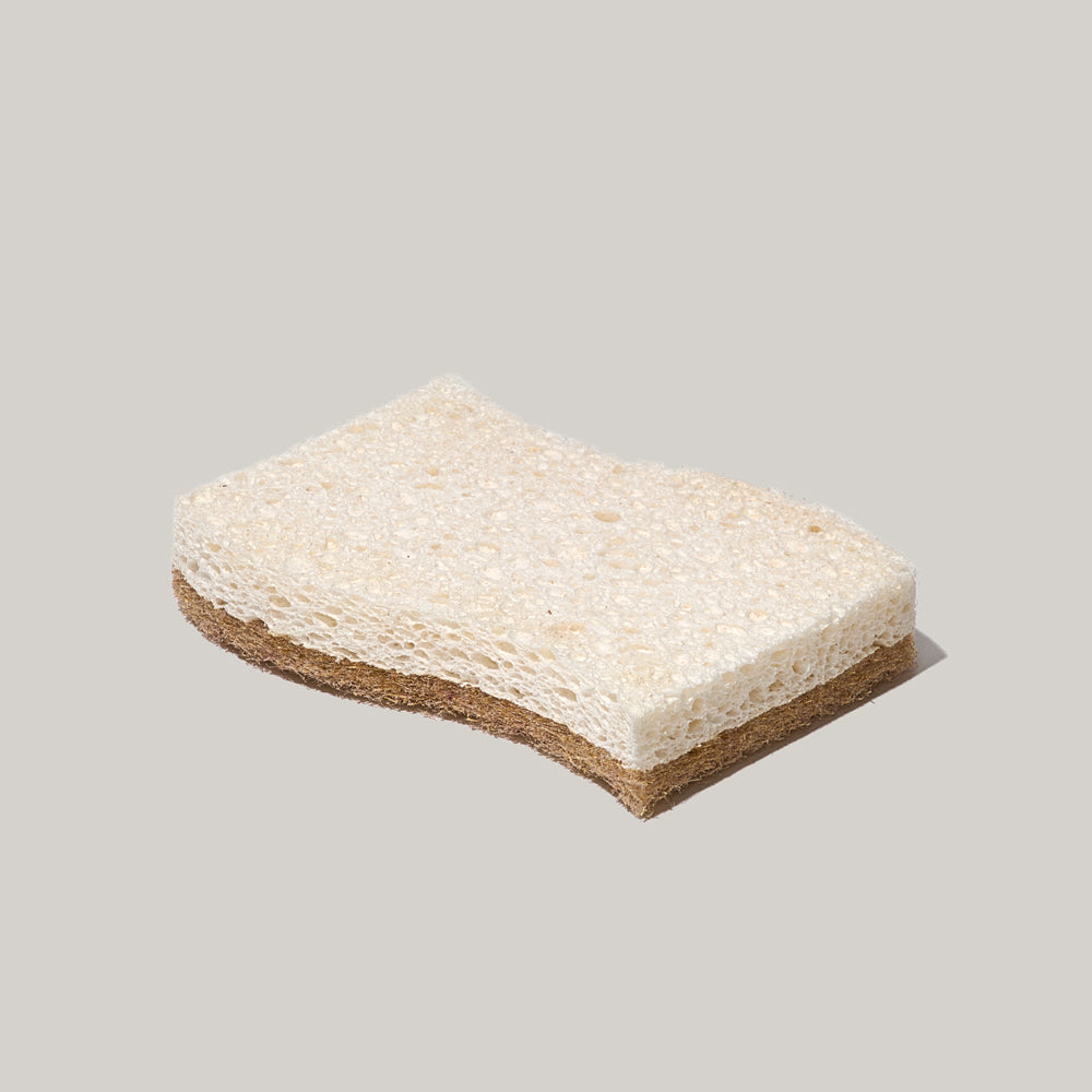 Éponge biodégradable