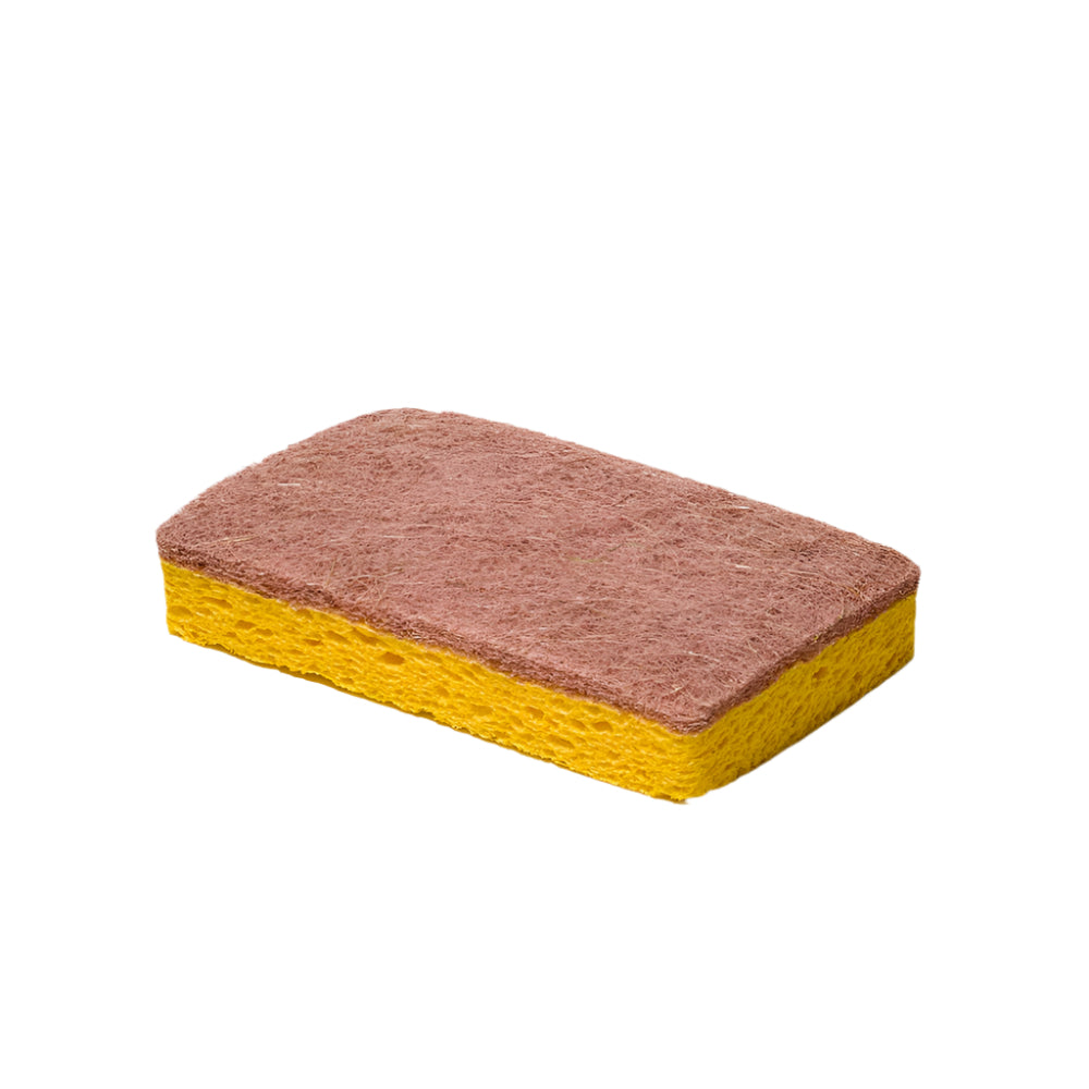Éponge rectangulaire