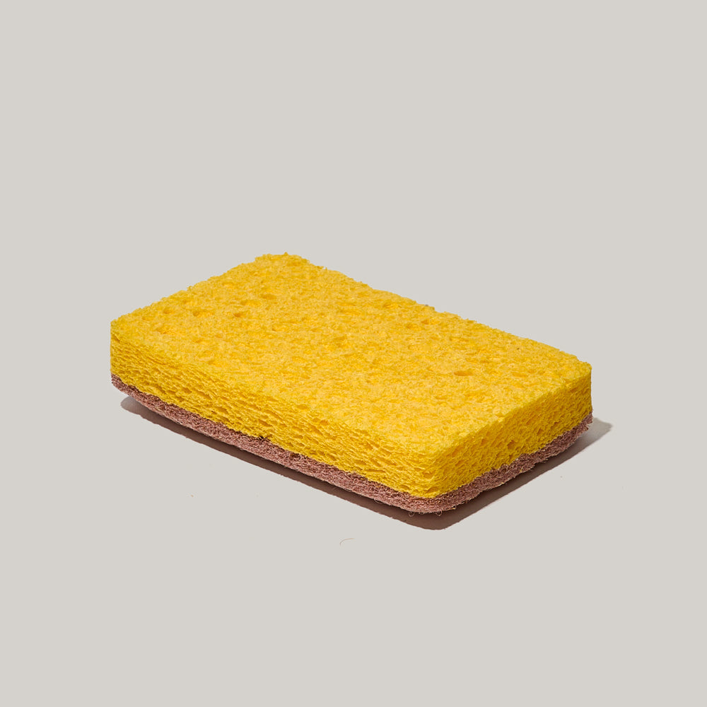 Éponge rectangulaire