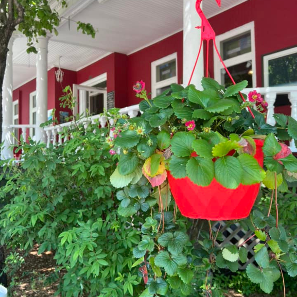Nuitée avec déjeuner et spa pour 2 personnes - Auberge La Grande Maison