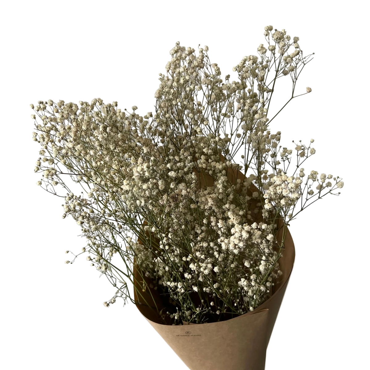 Gypsophile